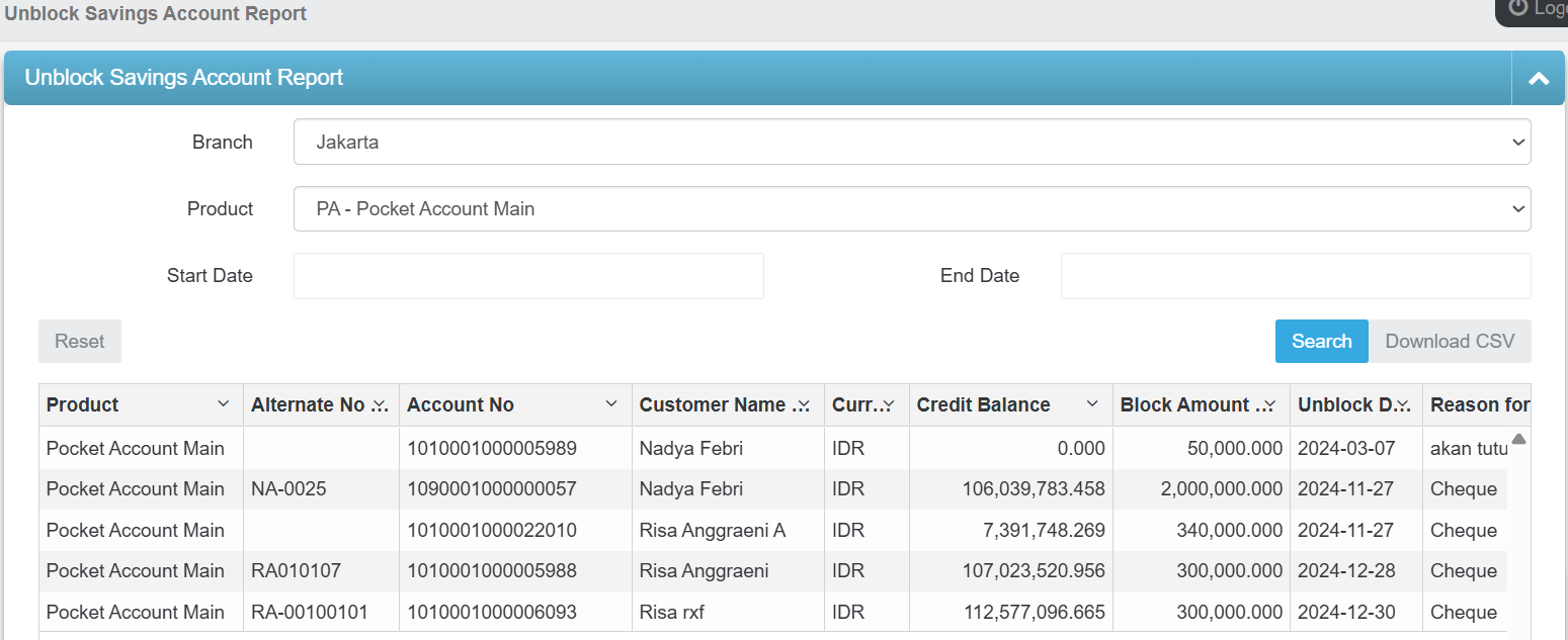 Customer Service Report